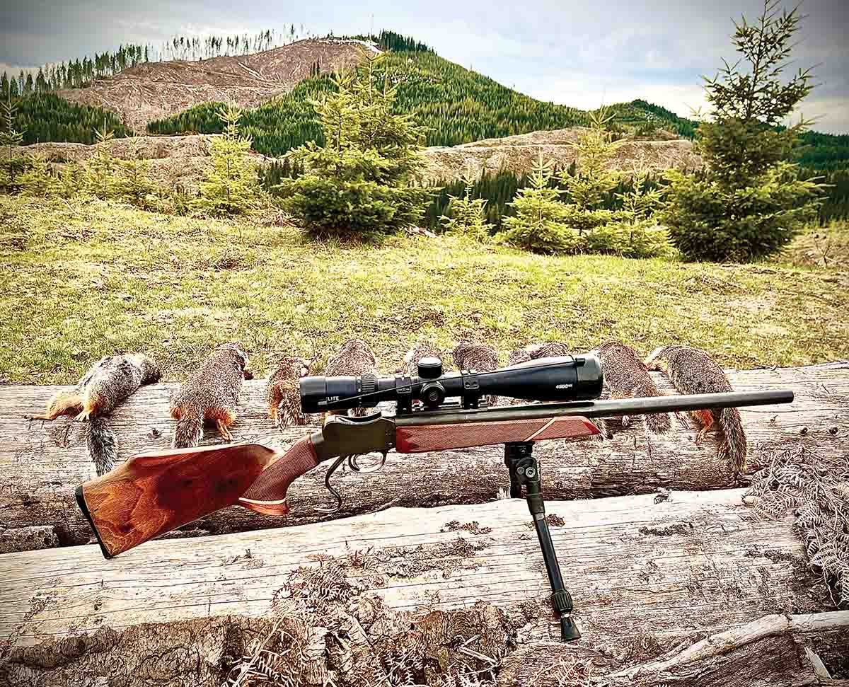 Patrick has owned his .22 K-Hornet rifle for only a single spring, but has put it to work on northern Idaho Columbia ground squirrels. The Martini single-shot action was rebarreled with a heavy 21½-inch barrel and shoots well.